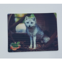 Hoo Zoo & Dinosaur World 3D Magnet Arctic Fox