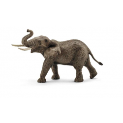 African elephant, male