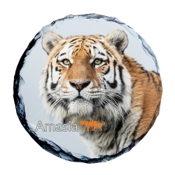 Slate Coaster- Amasia