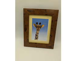 A brush with Africa Giraffe Framed