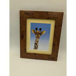 A brush with Africa Giraffe Framed