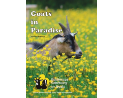 Buttercups Photo Book