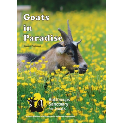 Buttercups Photo Book