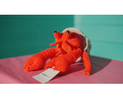 Red Hermit crab soft toy with grey spotted shell