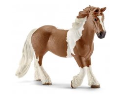 Tinker Mare