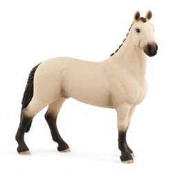 Hannoverian Gelding, Red Dun
