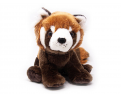 small nature planet plan red panda