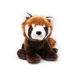 small nature planet plan red panda