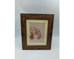 A brush with Africa Elephant (1B) Framed