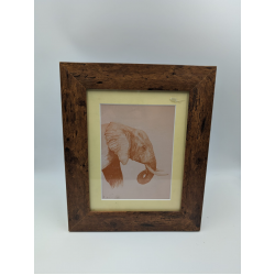 A brush with Africa Elephant (1B) Framed