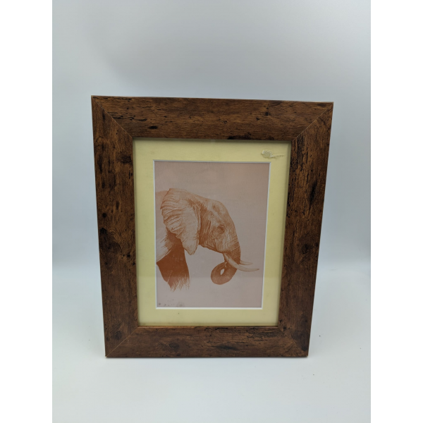 A brush with Africa Elephant (1B) Framed
