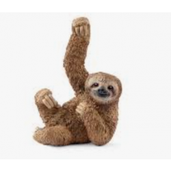 Sloth