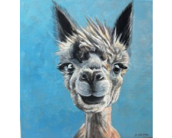 Happy Alpaca Greeting Card