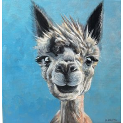 Happy Alpaca Greeting Card