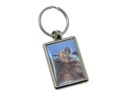 Key Ring- Lynx Rescue