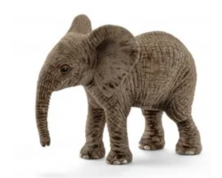 African Elephant Calf