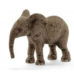 African Elephant Calf