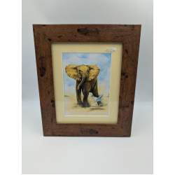 A brush with Africa Elephant (1F) Framed