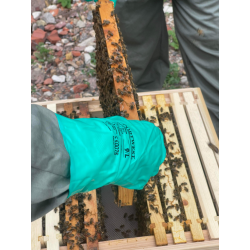 Adopt a Bee Hive