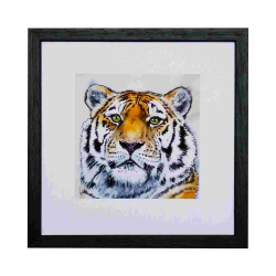 EM Small Framed Print- Amasia 1