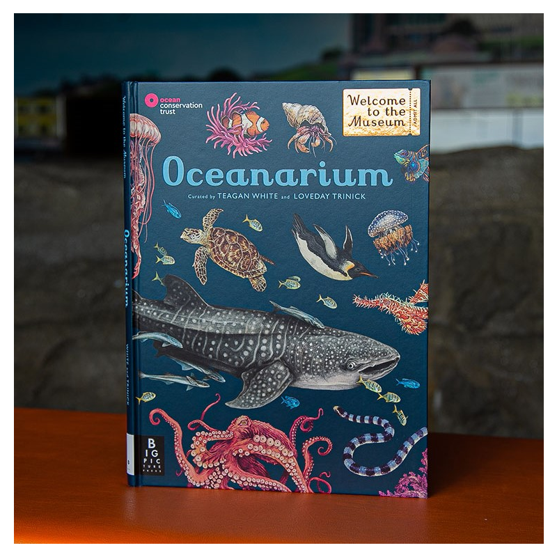 Oceanarium: Welcome to the Museum