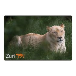 Magnet- Zuri