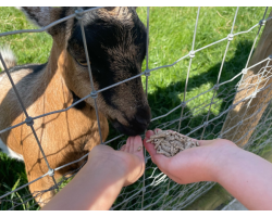 Animal Feed Pack