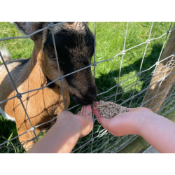 Animal Feed Pack