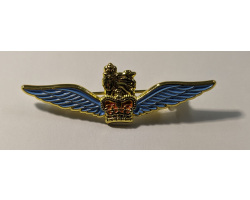 GPR Wings Brooch Pin
