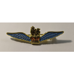 GPR Wings Brooch Pin