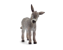 Donkey Foal new