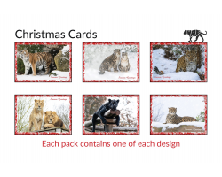 Christmas Cards