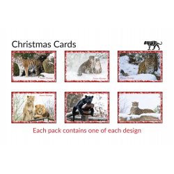 Christmas Cards