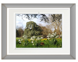 'Snowdrops and Buttercups' Framed Photograph