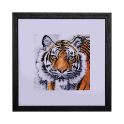 EM Small Framed Print- Puna 2