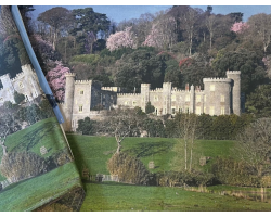 Caerhays Castle Tea Towel