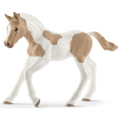 Paint Horse Foal