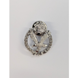 AAC Pin Badge
