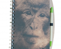 Monkey Forest Notebook