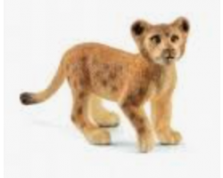 Lion Cub