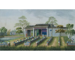 When you make your purchase, you will be emailed the viewing link and password within an hour.