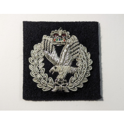 Tudor Crown Officer Beret Badge
