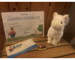 Alpaca Adoption Pack
