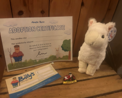 Alpaca Adoption Pack