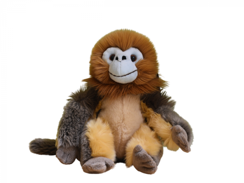 Snubnose Monkey Cuddly Teddy