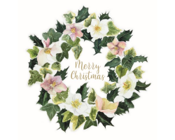 'Christmas Roses' Christmas Cards