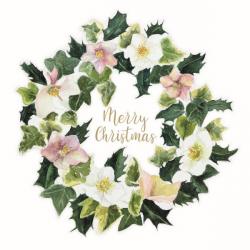 'Christmas Roses' Christmas Cards