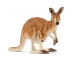 Kangaroo