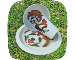 Red Panda Bamboo Dining Set