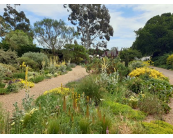 When you make your purchase, you will be emailed the viewing link and password within an hour.